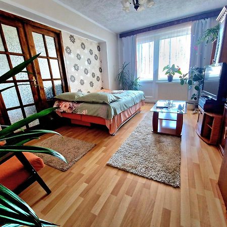 Sabina Apartment Sighişoara Extérieur photo