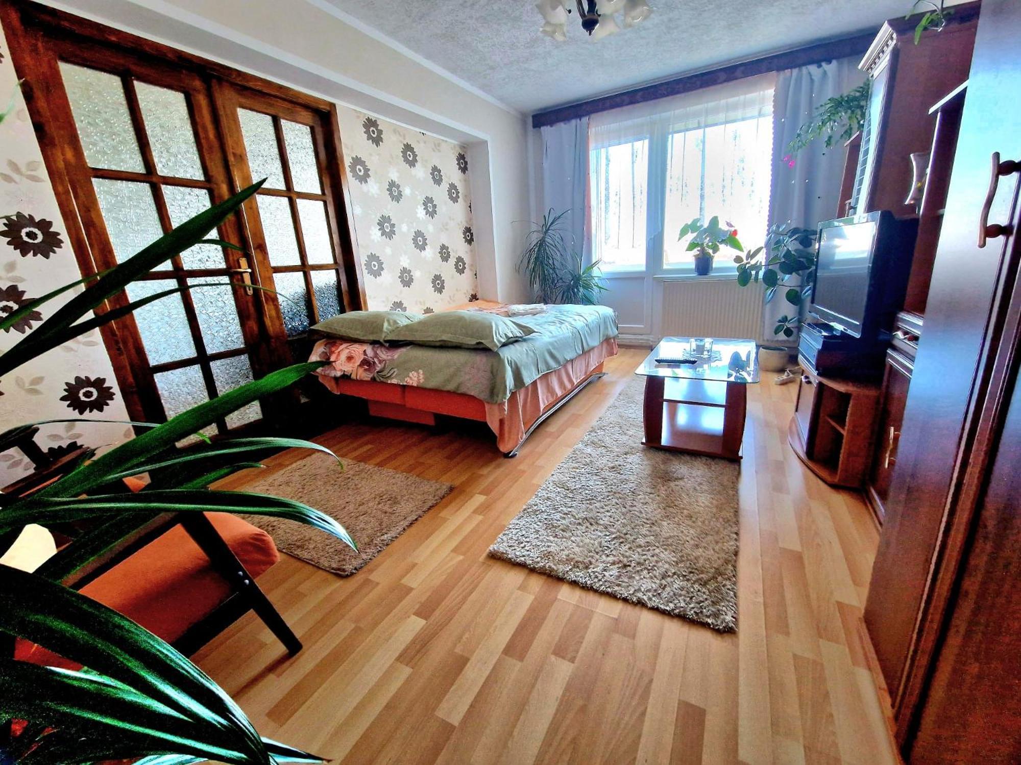 Sabina Apartment Sighişoara Extérieur photo